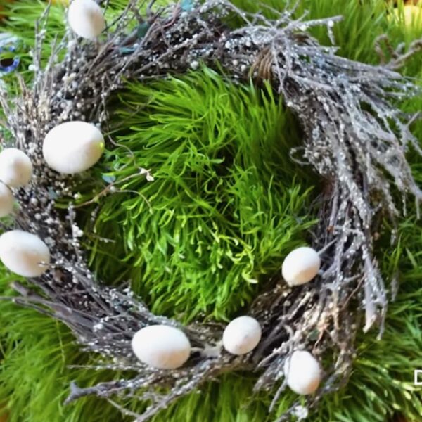 Novruz 2025 photo 2