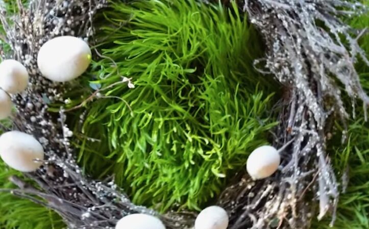 Novruz 2025 photo 2